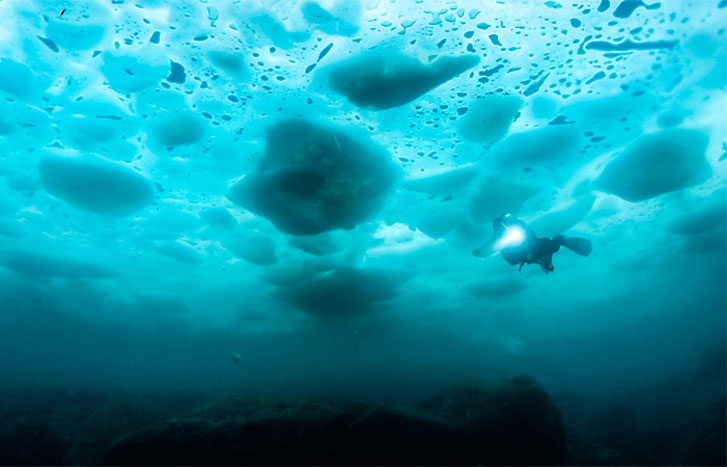 Divator™ DP1 – The right kind of pressure for professional divers.